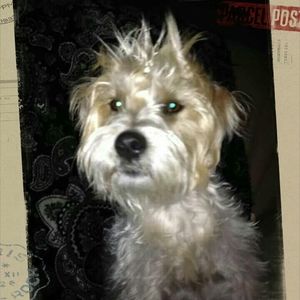 Meet your Posher, Marty